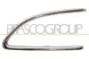 Zier-/Schutzleiste, Sto&szlig;f&auml;nger vorne rechts PRASCO LA0041243