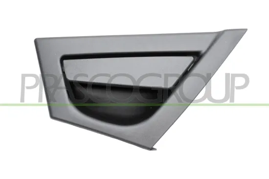 Türaußengriff außen hinten rechts PRASCO LA0048003 Bild Türaußengriff außen hinten rechts PRASCO LA0048003