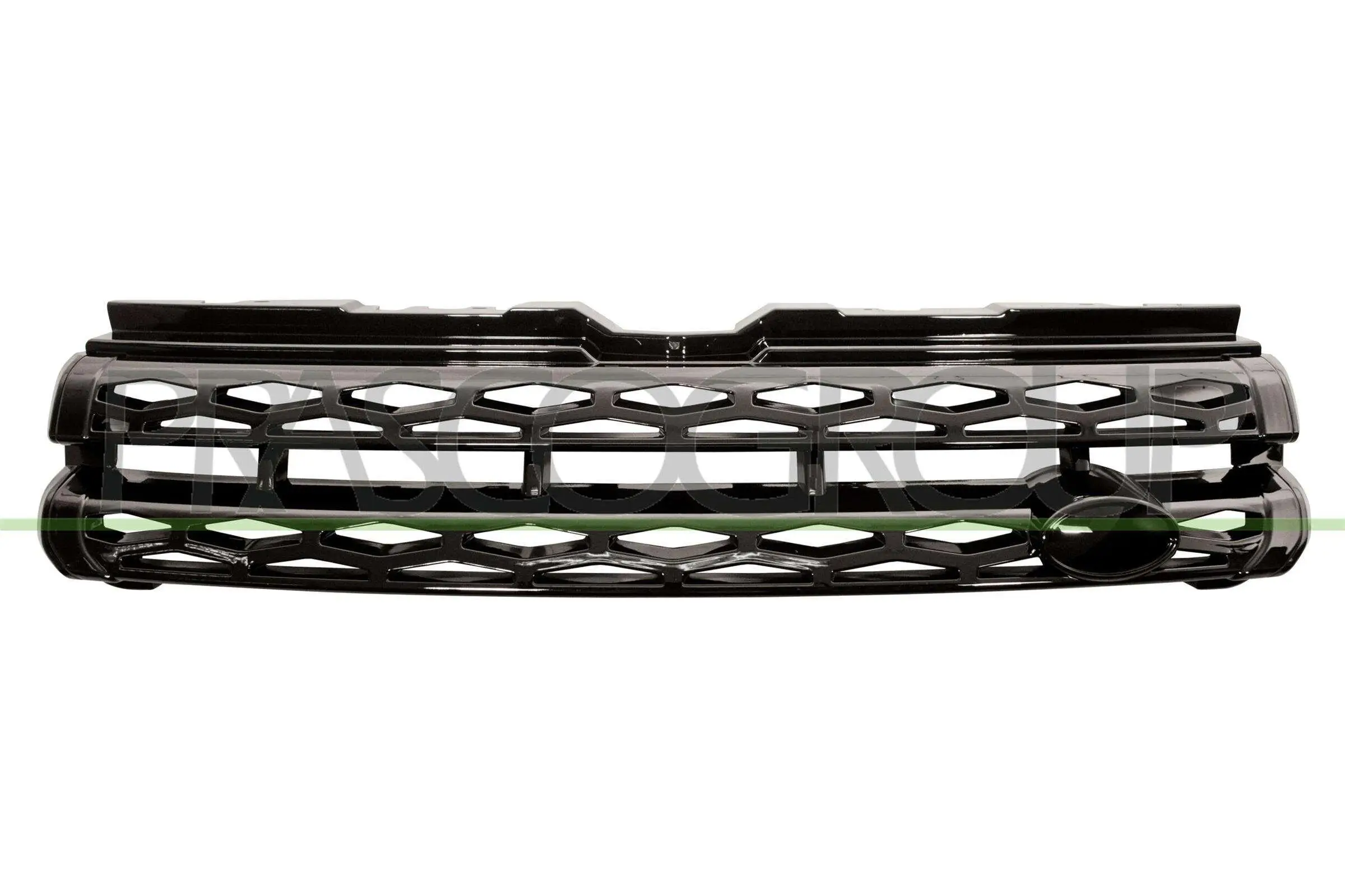 Kühlergitter PRASCO LR7002001