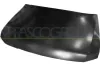 Motorhaube PRASCO MB1623100
