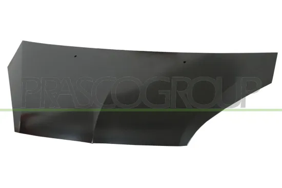 Motorhaube PRASCO MB3243100 Bild Motorhaube PRASCO MB3243100