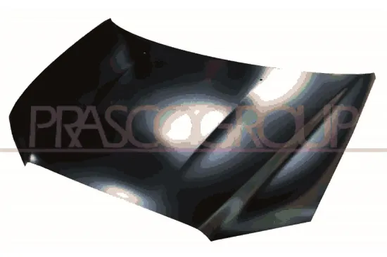 Motorhaube PRASCO MB7163110 Bild Motorhaube PRASCO MB7163110