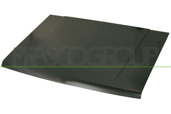 Motorhaube PRASCO MB8103100 Bild Motorhaube PRASCO MB8103100