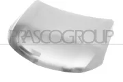 Motorhaube PRASCO MB8243100