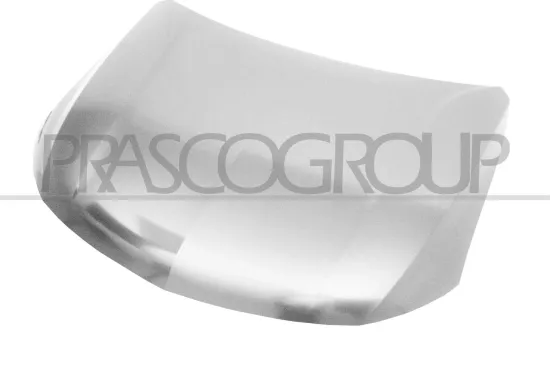 Motorhaube PRASCO MB8243100 Bild Motorhaube PRASCO MB8243100