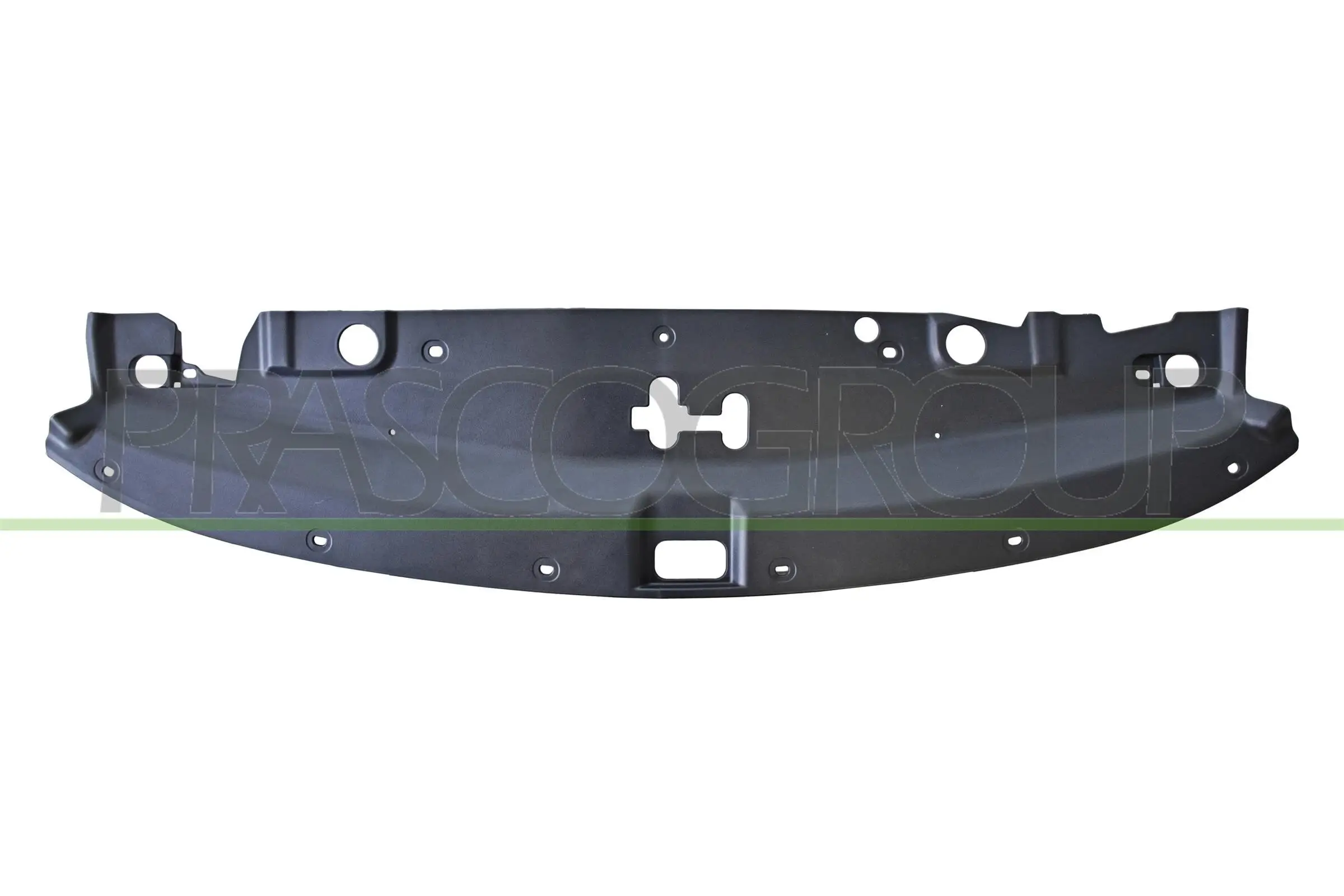 Zier-/Schutzleiste, Frontverkleidung vorne PRASCO MB8262112