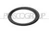 Rahmen, Nebelscheinwerfer links PRASCO ME0411244