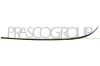 Zier-/Schutzleiste, Sto&szlig;f&auml;nger vorne links PRASCO ME0431244