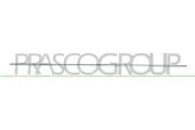Zier-/Schutzleiste, Tür vorne links PRASCO ME0431404