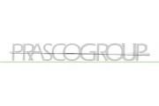 Zier-/Schutzleiste, Tür hinten links PRASCO ME0431454