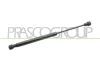 Gasfeder, Koffer-/Laderaum hinten links hinten rechts PRASCO ME3029055