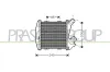 Ladeluftk&uuml;hler PRASCO ME302N002