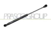 Gasfeder, Koffer-/Laderaum hinten links hinten rechts PRASCO ME3049055