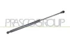 Gasfeder, Koffer-/Laderaum hinten links hinten rechts PRASCO ME3089055