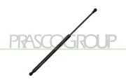 Gasfeder, Koffer-/Laderaum hinten links hinten rechts PRASCO ME3099055