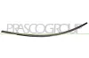 Zier-/Schutzleiste, Sto&szlig;f&auml;nger hinten rechts PRASCO ME3241263