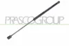 Gasfeder, Koffer-/Laderaum beidseitig PRASCO ME3249055