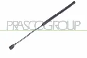 Gasfeder, Koffer-/Laderaum beidseitig PRASCO ME3249055