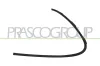 Zier-/Schutzleiste, Sto&szlig;f&auml;nger vorne links PRASCO ME4501202