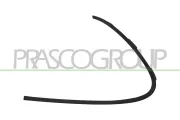 Zier-/Schutzleiste, Stoßfänger vorne links PRASCO ME4501202