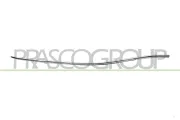 Zier-/Schutzleiste, Stoßfänger vorne rechts PRASCO ME4501213