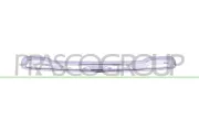 Zier-/Schutzleiste, Stoßfänger vorne PRASCO ME7301245