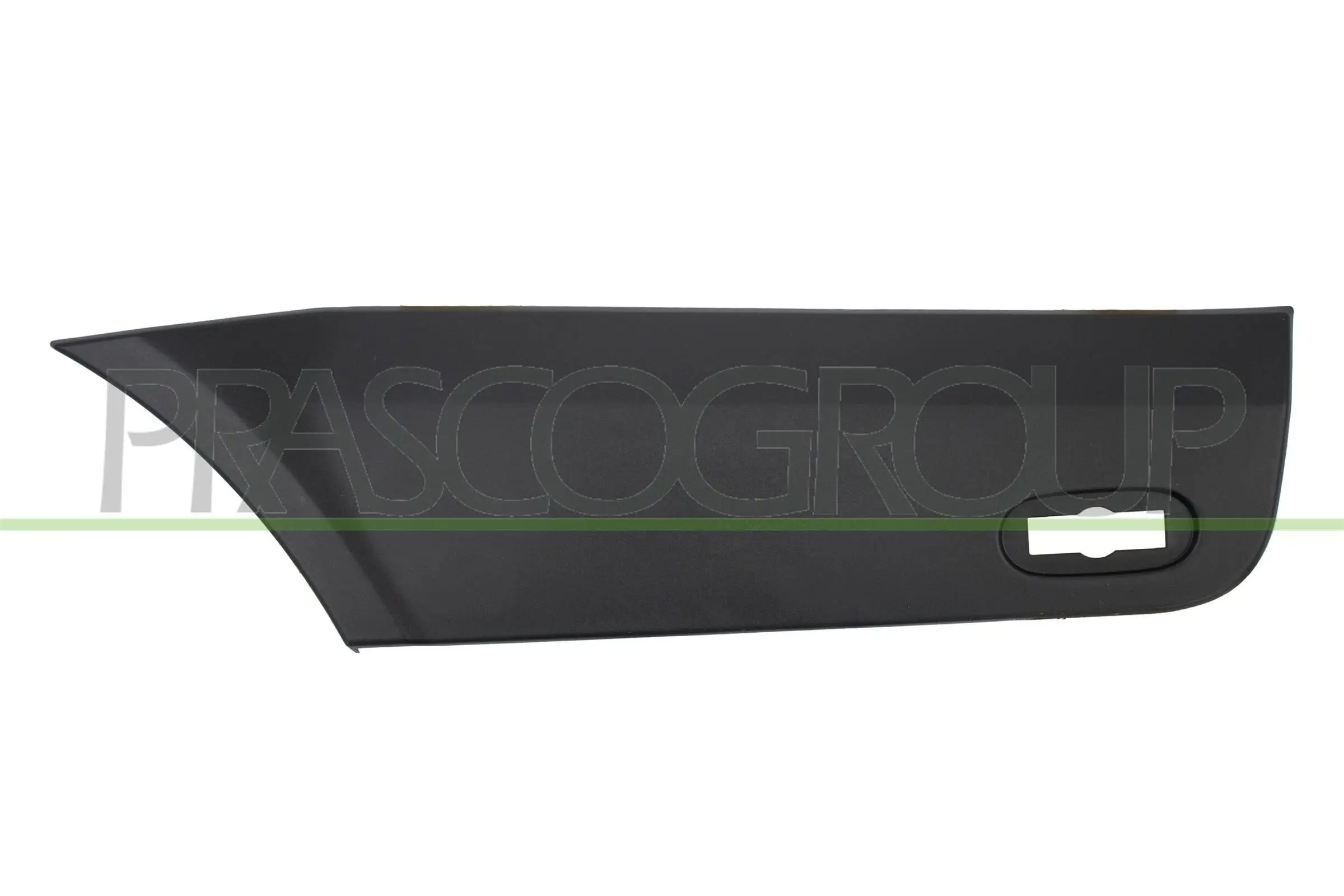 Zier-/Schutzleiste, Kotflügel hinten links PRASCO ME9191484