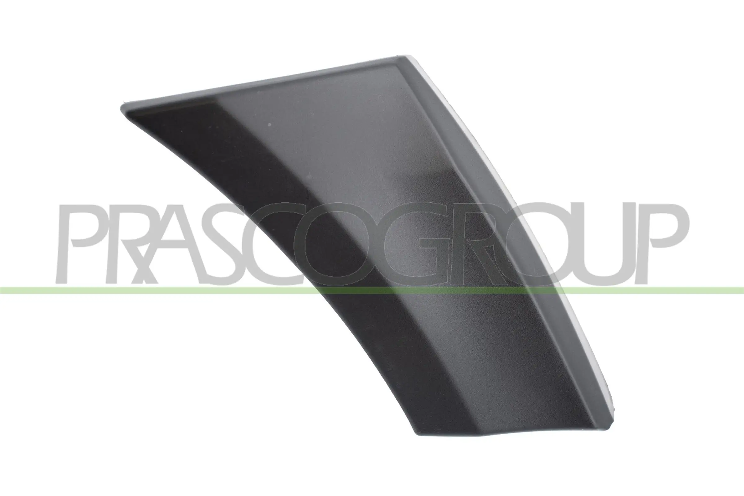 Zier-/Schutzleiste, Kotflügel vorne rechts PRASCO ME9191581