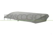 Motorhaube PRASCO MG6023100
