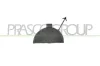Klappe, Abschlepphaken vorne PRASCO MN3041236