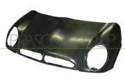 Motorhaube PRASCO MN3043100