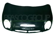 Motorhaube PRASCO MN3043110