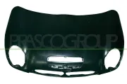 Motorhaube PRASCO MN3043140