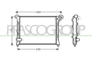 Kühler, Motorkühlung PRASCO MN304R002