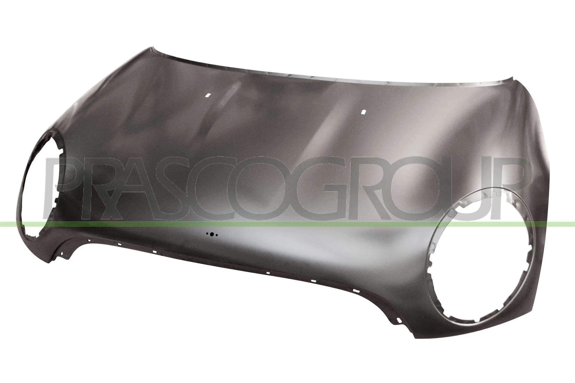 Motorhaube PRASCO MN3083130