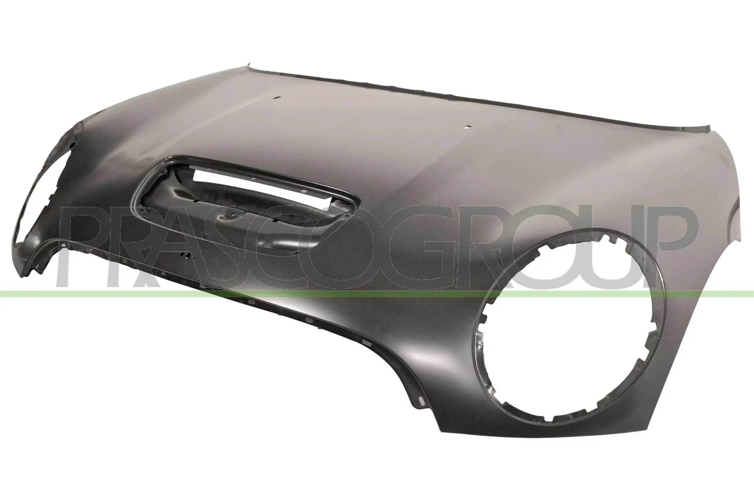 Motorhaube PRASCO MN3083140