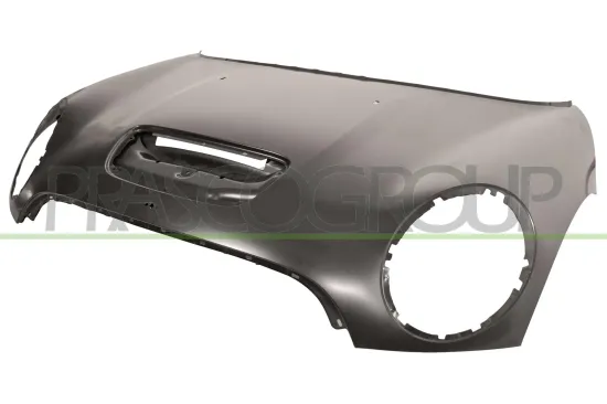Motorhaube PRASCO MN3083140 Bild Motorhaube PRASCO MN3083140