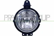Lichtscheibe, Blinkleuchte links rechts PRASCO MN3084433