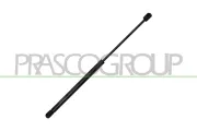 Gasfeder, Koffer-/Laderaum hinten links hinten rechts PRASCO MN3089055