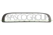 Rahmen, Kühlergitter PRASCO MN3102325
