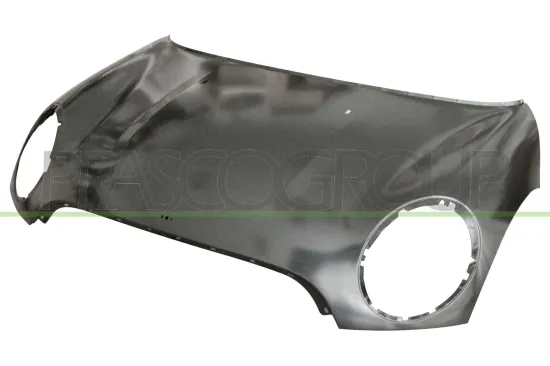Motorhaube PRASCO MN3103100 Bild Motorhaube PRASCO MN3103100