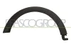 Zier-/Schutzleiste, Kotflügel vorne links PRASCO MN3121582