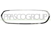 Rahmen, Kühlergitter vorne PRASCO MN3122206