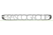 Kühlergitter PRASCO MN3122305