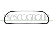 Rahmen, Kühlergitter PRASCO MN3142206