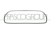 Rahmen, Kühlergitter PRASCO MN3142207
