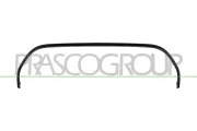 Zier-/Schutzleiste, Kühlergitter PRASCO MN3142305