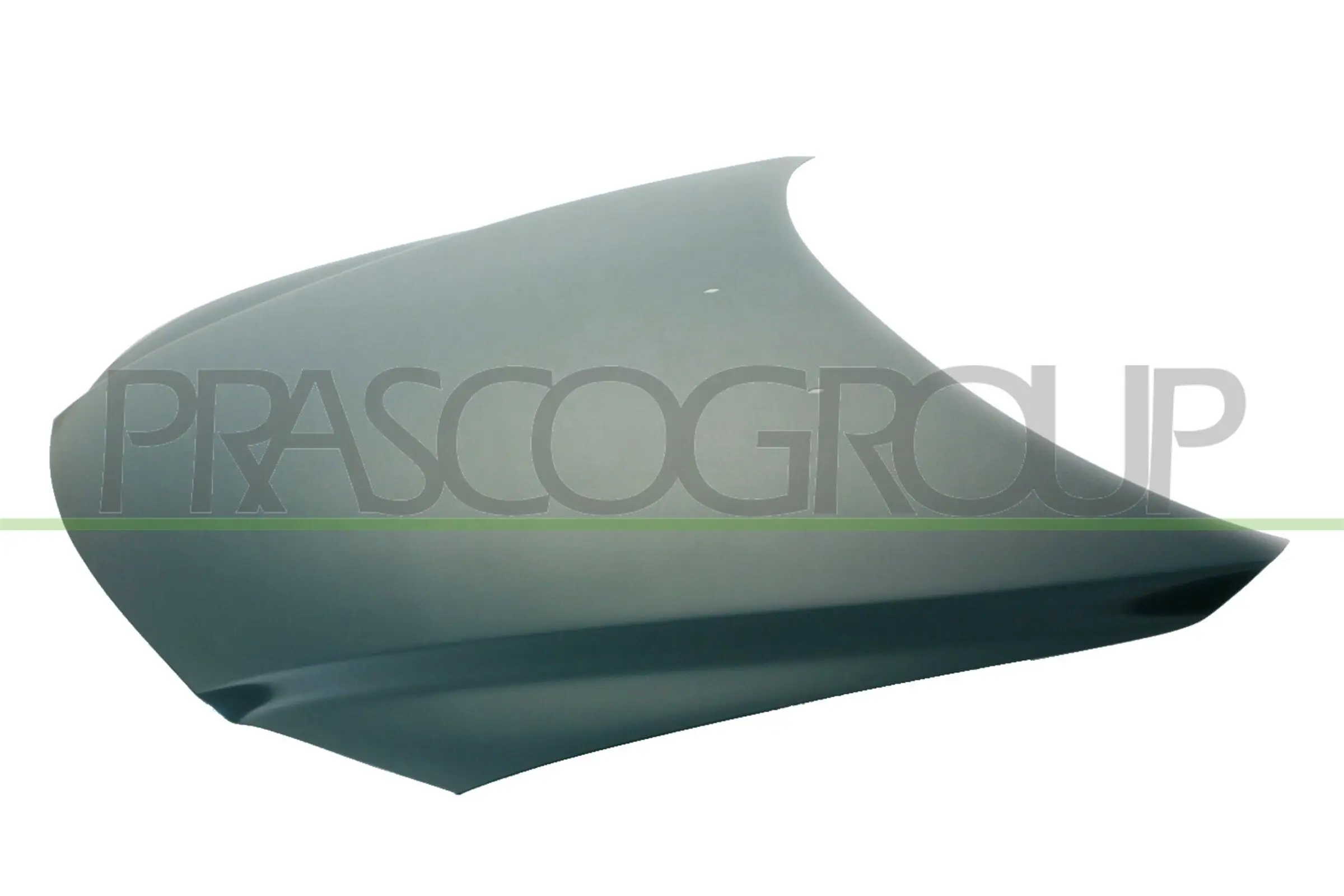 Motorhaube PRASCO MZ0493130