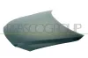 Motorhaube PRASCO MZ0493130