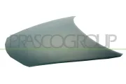 Motorhaube PRASCO MZ0513100